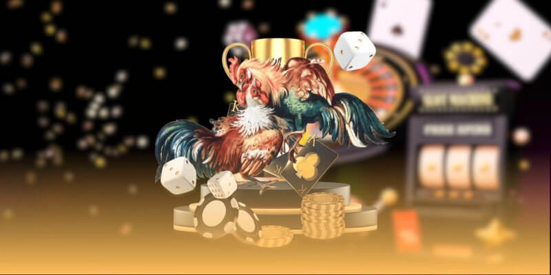 Môi trường chơi đá gà trực tiếp tại nhà cái aa88