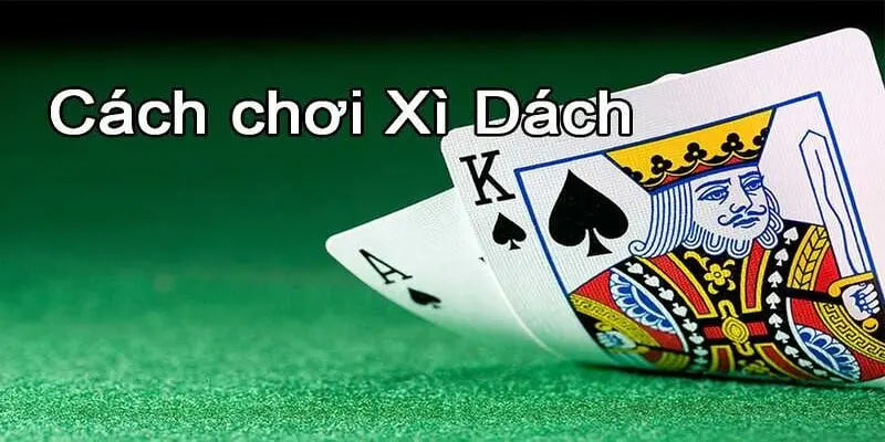 Tại sao nên chơi xì dách tại nhà cái AA88?