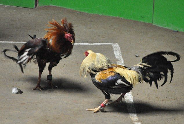 Chiến Lược Đặt Cược Hiệu Quả Tại AA88