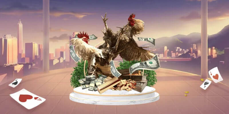 Các Yếu Tố Nâng Cao Trải Nghiệm Tham Gia Đá Gà Mỹ Cựa Dao Tại AA88