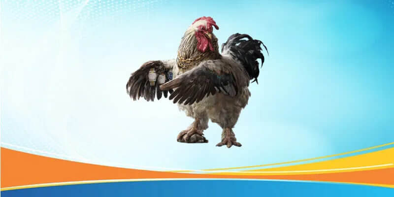 Các hình thức và chiến thuật cá cược trong đá gà trực tiếp bên Thomo tại nhà cái AA88