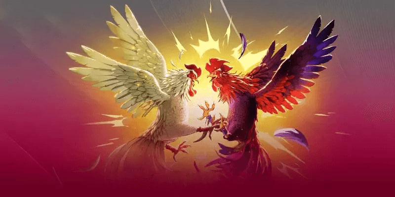 Cách Tham Gia Cá Cược Đá Gà Cựa Sắt Tại Nhà Cái AA88