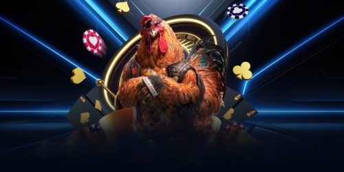 Những Điều Nên Biết Về Đá Gà Trực Tiếp Hôm Nay C4 Tại Nhà Cái AA88