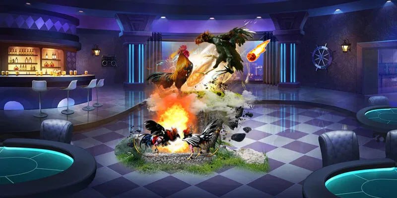 Phân Đối Hiểu Biết Về Đá Gà Mỹ Cựa Dao Và Tại Sao Nên Chọn Nhà Cái AA88