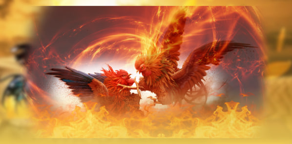 Các Yếu Tố Chọn Lựa Gà Và Chiến Thuật Trong Đá Gà Trực Tiếp Thomo Tại AA88