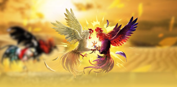 Hiểu Rõ Về Đá Gà Trực Tiếp Thomo Tại Nhà Cái AA88 - Trận Đấu Đỉnh Cao Ngay Trong Tầm Tay Bạn