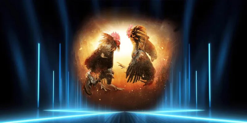 Phân tích chiến thuật và mẹo chơi để chiến thắng trong đá gà trực tiếp c4 tại AA88