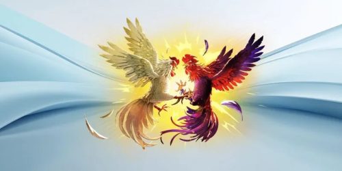 Đá Gà Thomo – Sức Hút Nghẹt Thở Tại AAA88