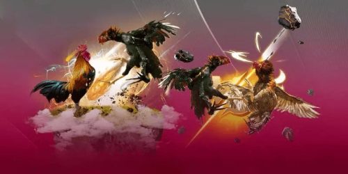 Tại sao nên xem đá gà trực tiếp tại AA88